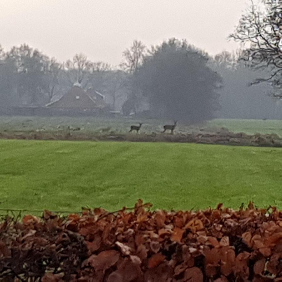 B&B Op De Sing-Sang Jonkersland Exteriér fotografie